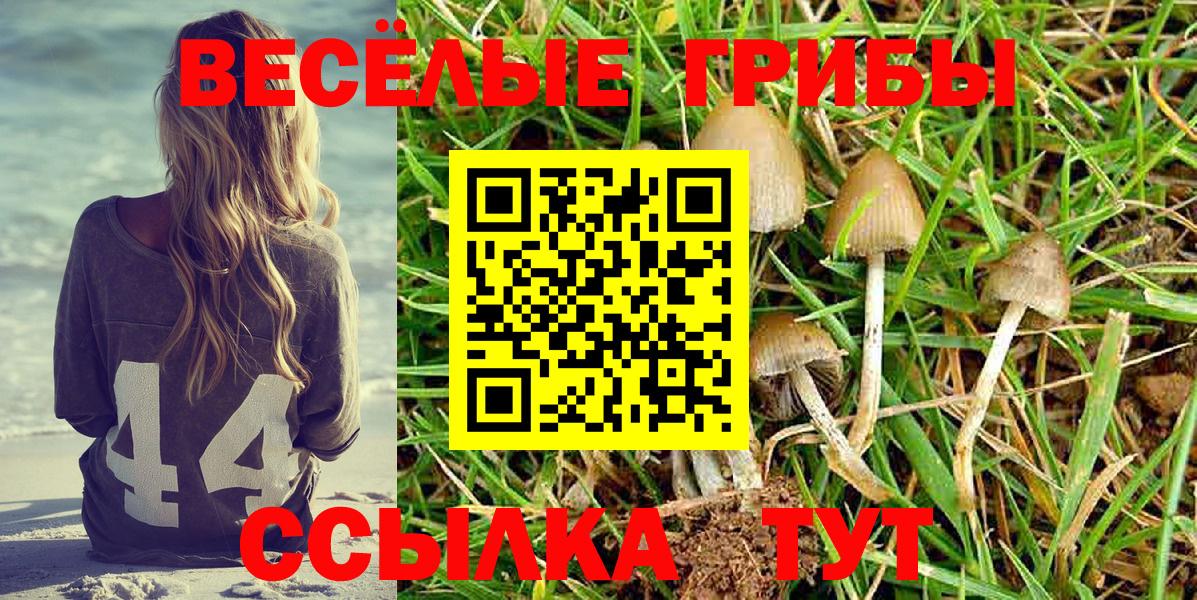 Псилоцибиновые грибы Cubensis  Вход с VPN  Уссурийск 